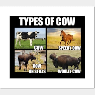 Types of Cows Posters and Art